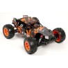 Pirate XT-C Brushless  -  T2M (1/10)