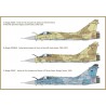 Dassault Mirage 2000C "Gulf War 25th Anniversary"  -  Italeri (1/72)