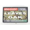 copy of Leaves Oak  -  Plusmodel (1/35)