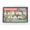 Leaves Oak  -  Plusmodel (1/35)