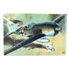Focke-Wulf Fw190  -  Hasegawa (1/32)