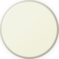 IONIC Smart Colors (20ml)  -  Ivory