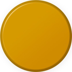 IONIC Smart Colors (20ml)  -  Ochre