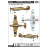 Hawker Hurricane Mk.IId/Trop  -  Hobby Boss (1/48)