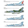 Dassault Mirage 2000 B/D  -  Italeri (1/72)