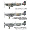Spitfire Mk.Vb (Early)  -  Kotare (1/32)