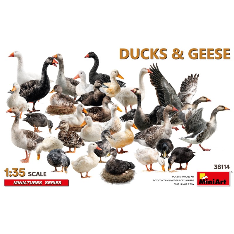 Ducks & Geese [33 pcs]  -  MiniArt (1/35)