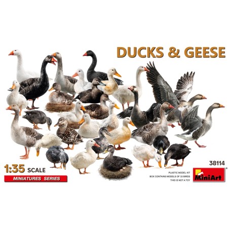 Ducks & Geese [33 pcs]  -  MiniArt (1/35)