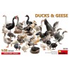 Ducks & Geese [33 pcs]  -  MiniArt (1/35)