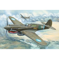 Curtiss P-40E Warhawk  -...