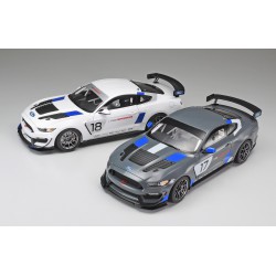 Ford Mustang GT4  -  Tamiya (1/24)