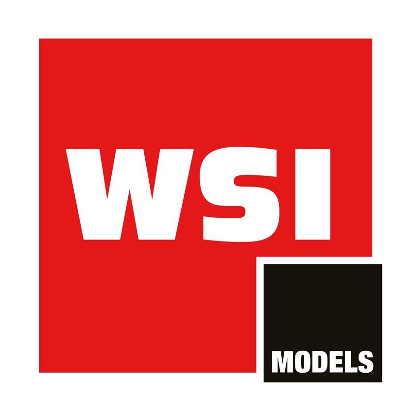 WSI Models