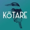 Kotare